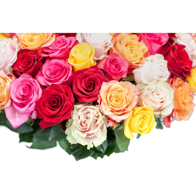 Bouquet of colorful roses